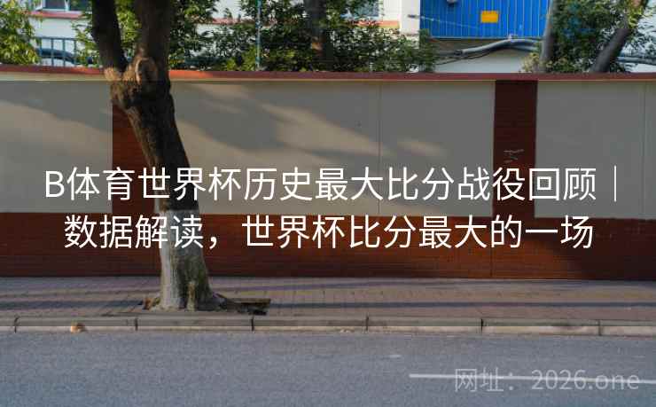 B体育世界杯历史最大比分战役回顾｜数据解读，世界杯比分最大的一场