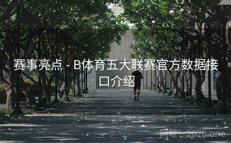 赛事亮点 - B体育五大联赛官方数据接口介绍
