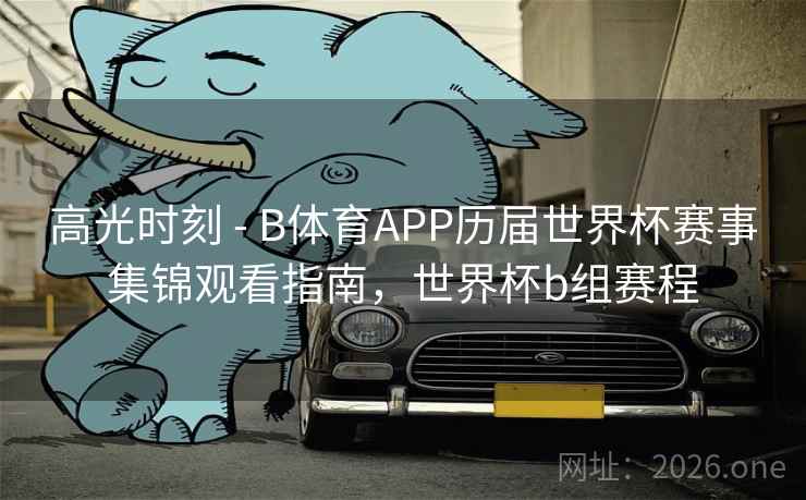 高光时刻 - B体育APP历届世界杯赛事集锦观看指南，世界杯b组赛程