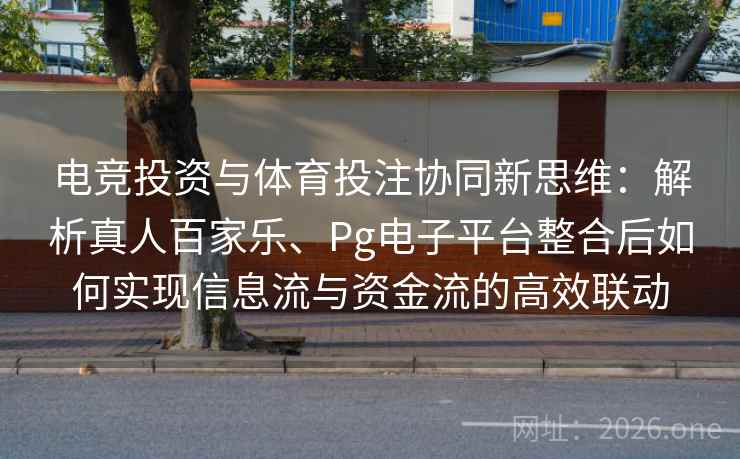 电竞投资与体育投注协同新思维：解析真人百家乐、Pg电子平台整合后如何实现信息流与资金流的高效联动