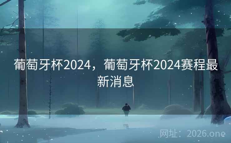 葡萄牙杯2024，葡萄牙杯2024赛程最新消息