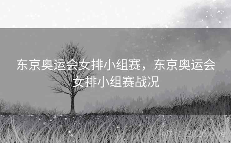 东京奥运会女排小组赛，东京奥运会女排小组赛战况