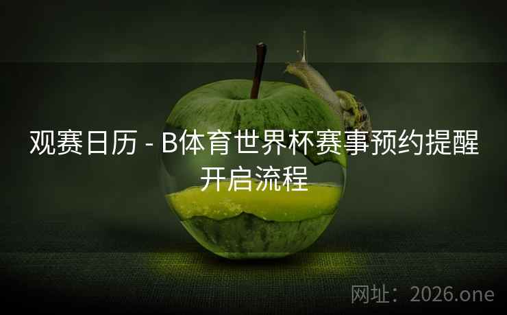 观赛日历 - B体育世界杯赛事预约提醒开启流程