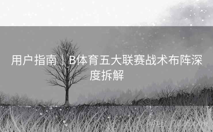 用户指南|B体育五大联赛战术布阵深度拆解