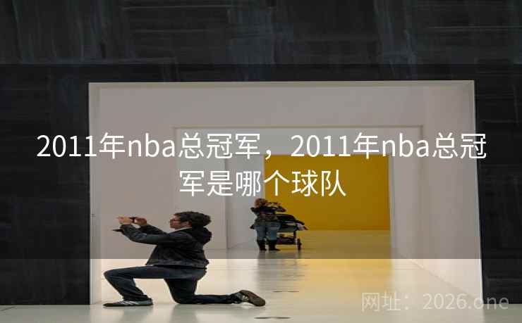 2011年nba总冠军,2011年nba总冠军是哪个球队