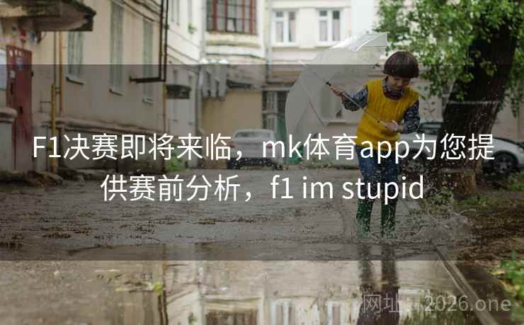F1决赛即将来临，mk体育app为您提供赛前分析，f1 im stupid