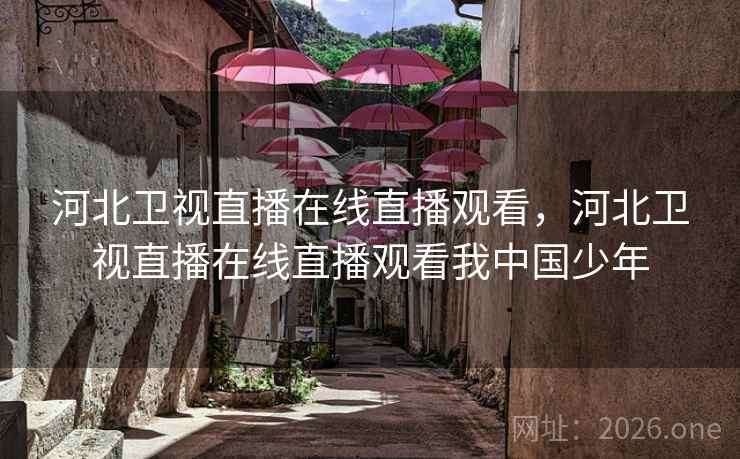 河北卫视直播在线直播观看,河北卫视直播在线直播观看我中国少年
