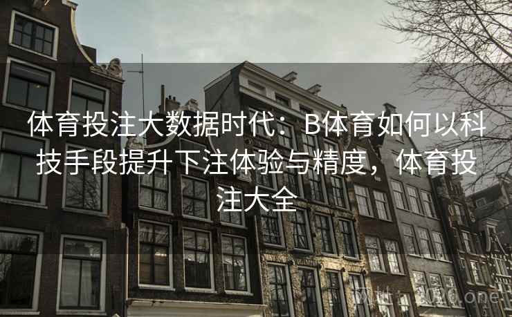 体育投注大数据时代：B体育如何以科技手段提升下注体验与精度，体育投注大全