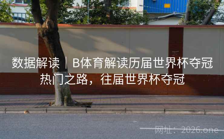 数据解读｜B体育解读历届世界杯夺冠热门之路，往届世界杯夺冠