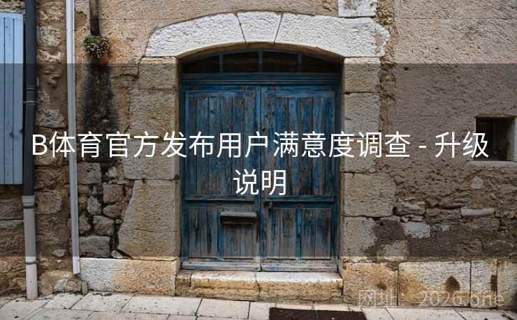 B体育官方发布用户满意度调查 - 升级说明